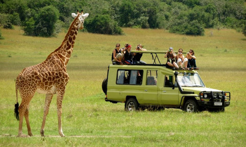 Selous Day Trip Safari From Zanzibar